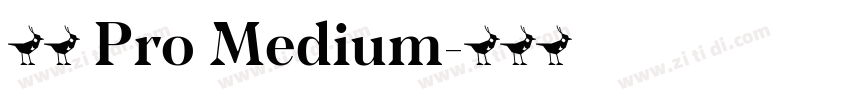 小米 Pro Medium字体转换